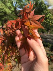 -Lab Season惜辰颜究社