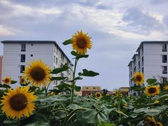 -北国之春国宴(乌兰察布店)