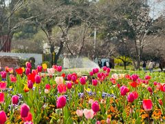 -苏州上方山国家森林公园