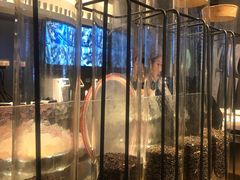 -喜茶(佛山顺德大良东乐路店)