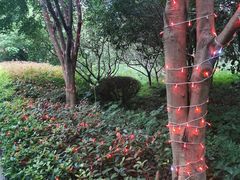 -昆山城市生态森林公园