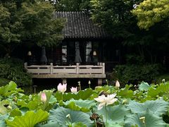 -杭州西子湖四季酒店·金沙厅