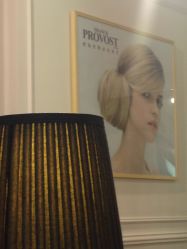 -Franck Provost梵珀巴黎法式发艺