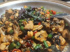 -肥家大排档(天河体育西店)