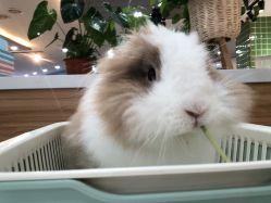 -Moni星球萌宠·小马宝莉·灵蛇·高端高阶全萌宠互动体验俱乐部(红豆国际广场店)