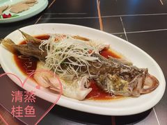 -全聚德(双井店)