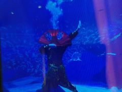 -海合安成都极地海洋公园