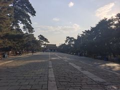 -北陵公园