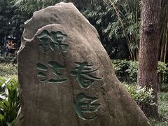 -望江楼公园