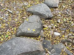 -北京西山国家森林公园