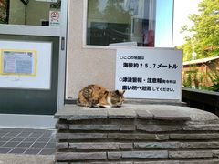 -灌篮高手动画打卡地