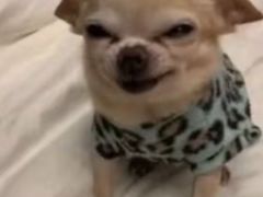 -王虎子大饼(甸柳新村五区店)