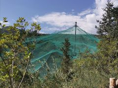 -青藏高原野生动物园