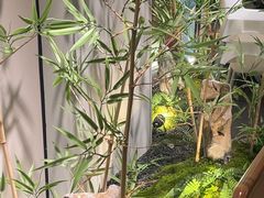 -绿茶餐厅(淮安吾悦广场店)
