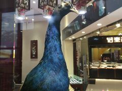 -德宏芒市国际机场