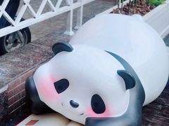 -轩客会(熊猫书店)