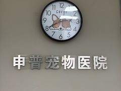 -申普宠物医院·心脏介入·心血管微创(总院)