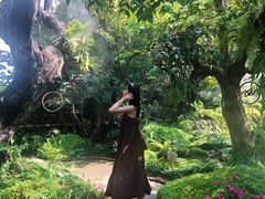 -Chom Cafe and Restaurant