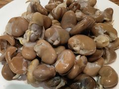 -清真吴记门钉肉饼·喜多利