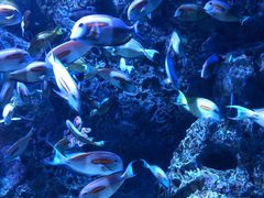 -成都浩海立方海洋公园