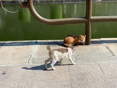 -石炮台公园