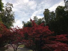 -苏州河梦清园环保主题公园