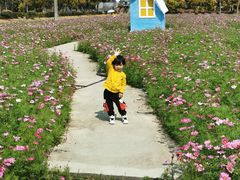 -广东花都香草世界旅游度假区