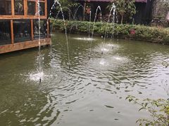 -花溪雨·森林餐厅(石基店)