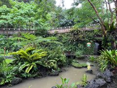-深圳仙湖植物园