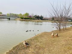 -西安浐灞国家湿地公园