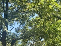 -丽泽山庄·生态怀柔菜·虹鳟鱼(红螺寺店)