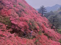 -木兰云雾山