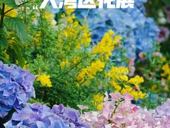 -深圳市中科院仙湖植物园