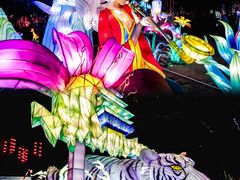 -淄博花灯齐彩城