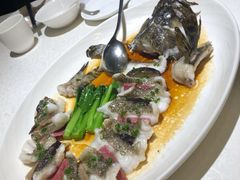 古法老虎斑-维园悦谱·海派家常菜(乌鲁木齐南路店)