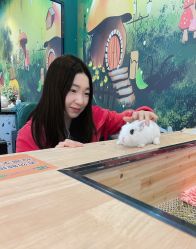 -神奇动物撸宠馆·羊驼·小浣熊·异宠(豫园店)