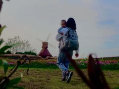 -杭州湾海上花田景区