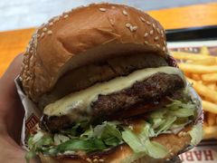 -The Habit Burger Grill 哈比特汉堡(复兴soho店)