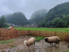 -高荡千年布依古寨旅游景区