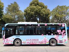 -高东镇樱花园