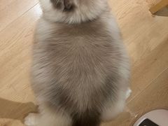 -莲塘味宝园牛杂(天越翔园店)