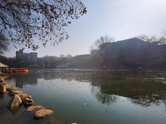 -莲湖公园