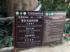 -西双版纳原始森林公园