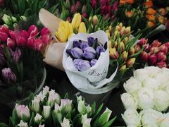 -双季花艺园艺市场(浦东店)