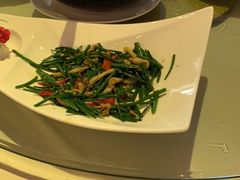 -厦门园林植物园-植物园滴水山房