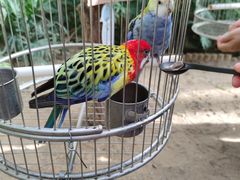 -南宫五洲植物乐园