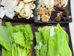 -蘑统田下·野生菌火锅