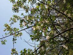 android_upload_pic-迎泽公园
