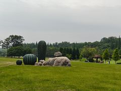 -宜兴龙背山森林公园
