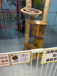 点击看大图 -神奇动物撸宠馆·羊驼·小浣熊·异宠(豫园店)